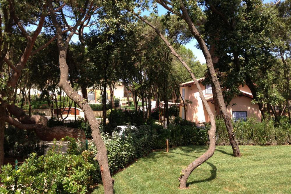 Hotel Il Delfino San Vincenzo Eksteriør billede