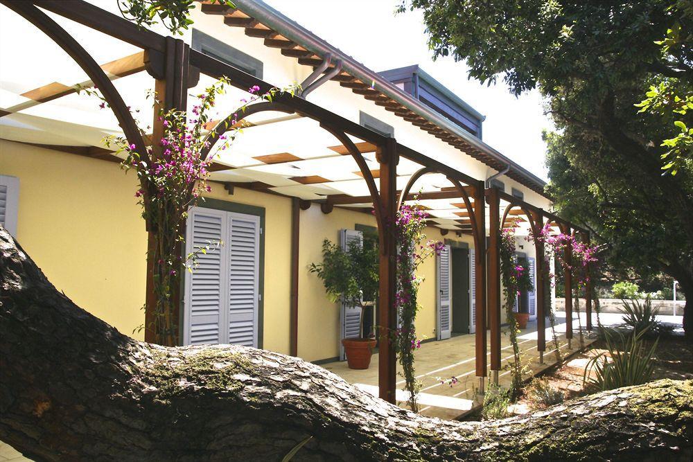 Hotel Il Delfino San Vincenzo Eksteriør billede